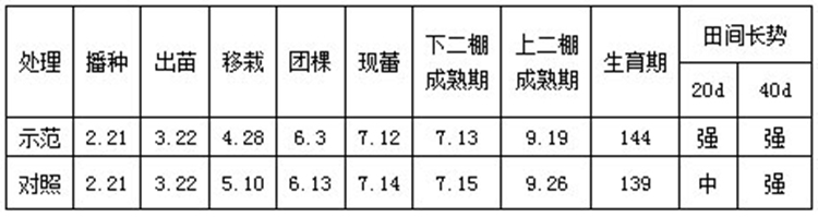 “井窖式”移栽在湖北省十堰市烟区的适应性研究（图）