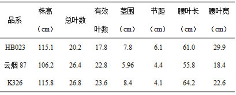 湖北省自育烤烟新品系HB023烘烤特性分析（图）